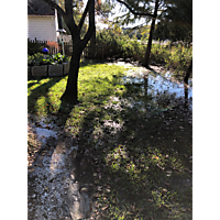 King tide Norfolk image